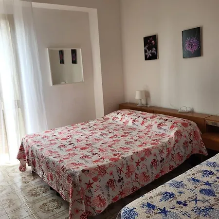 L'ulivo 2 *